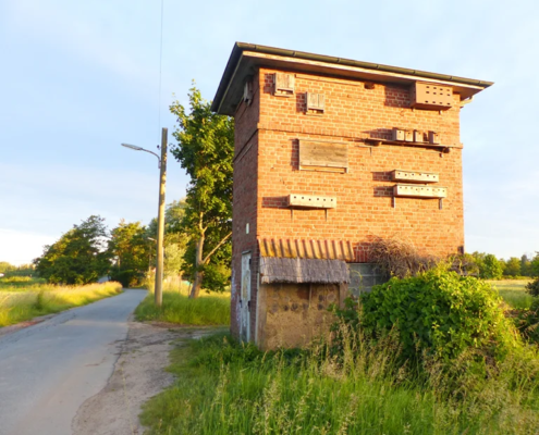 BUND Artenschutzprojekt Trafohaus